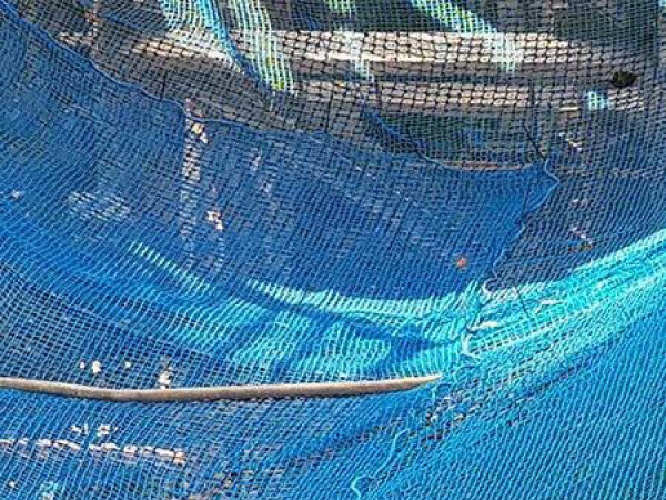 Web System - Web Catch Web System - Web Catch